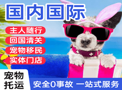 石家庄正定国际宠物托运 【国